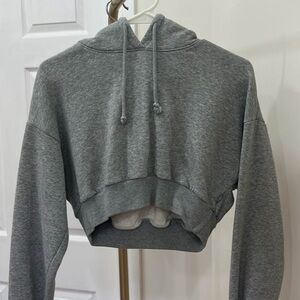 Aritzia TNA Heather Gray Cropped Hoodie
